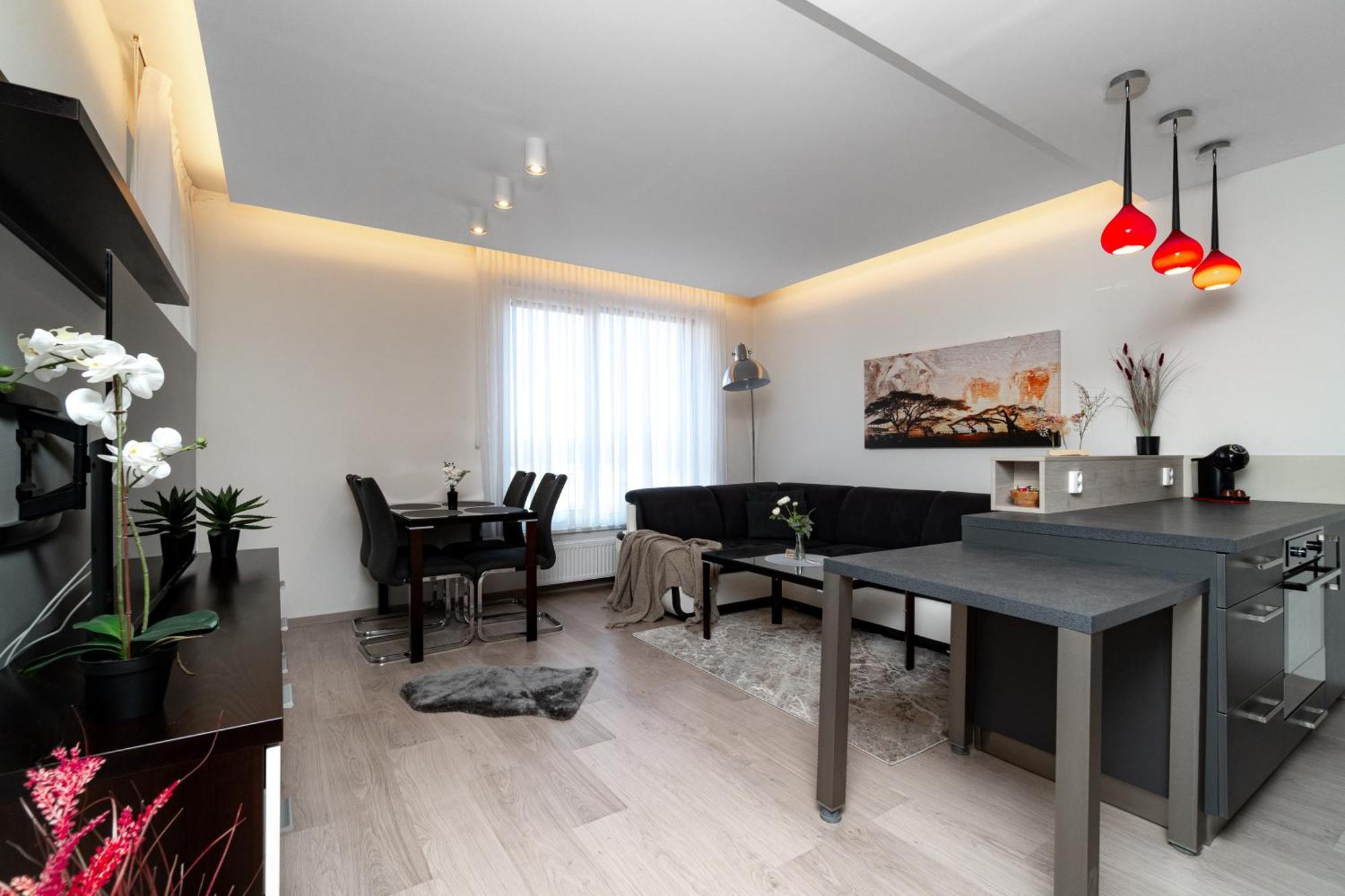 Bnb New Beautiful Apartment In The Center Of Ostrava With Option Garage Parking エクステリア 写真