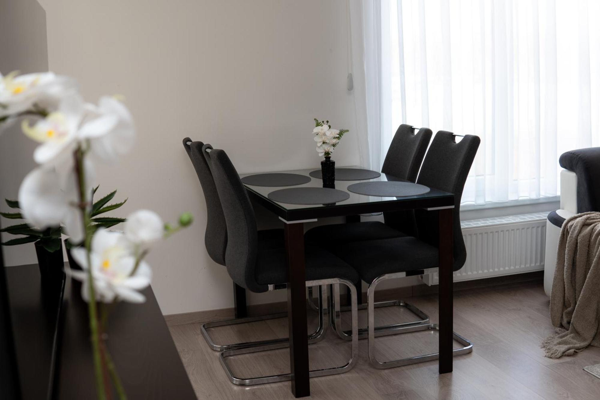 Bnb New Beautiful Apartment In The Center Of Ostrava With Option Garage Parking エクステリア 写真